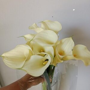 CALLA CAP VENTURA 60 CM  X TALLO